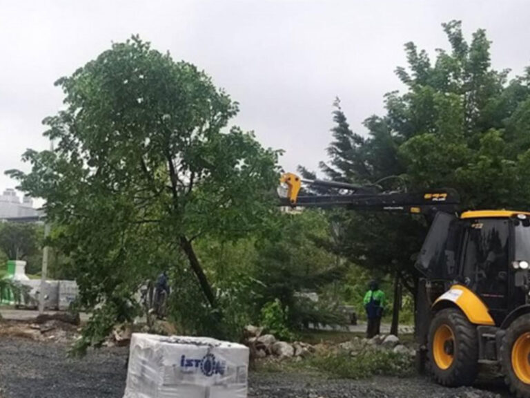 Beylikdüzü Belediye Ekipleri 160 Ağacı Söktü İddiası